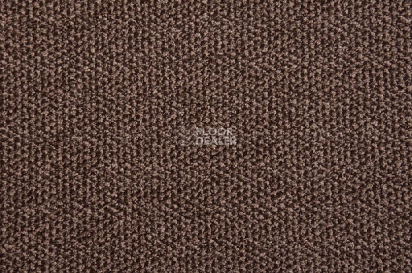 Грязезащитные покрытия Vebe Alba Pc Alba pvc 60 фото 1 | FLOORDEALER